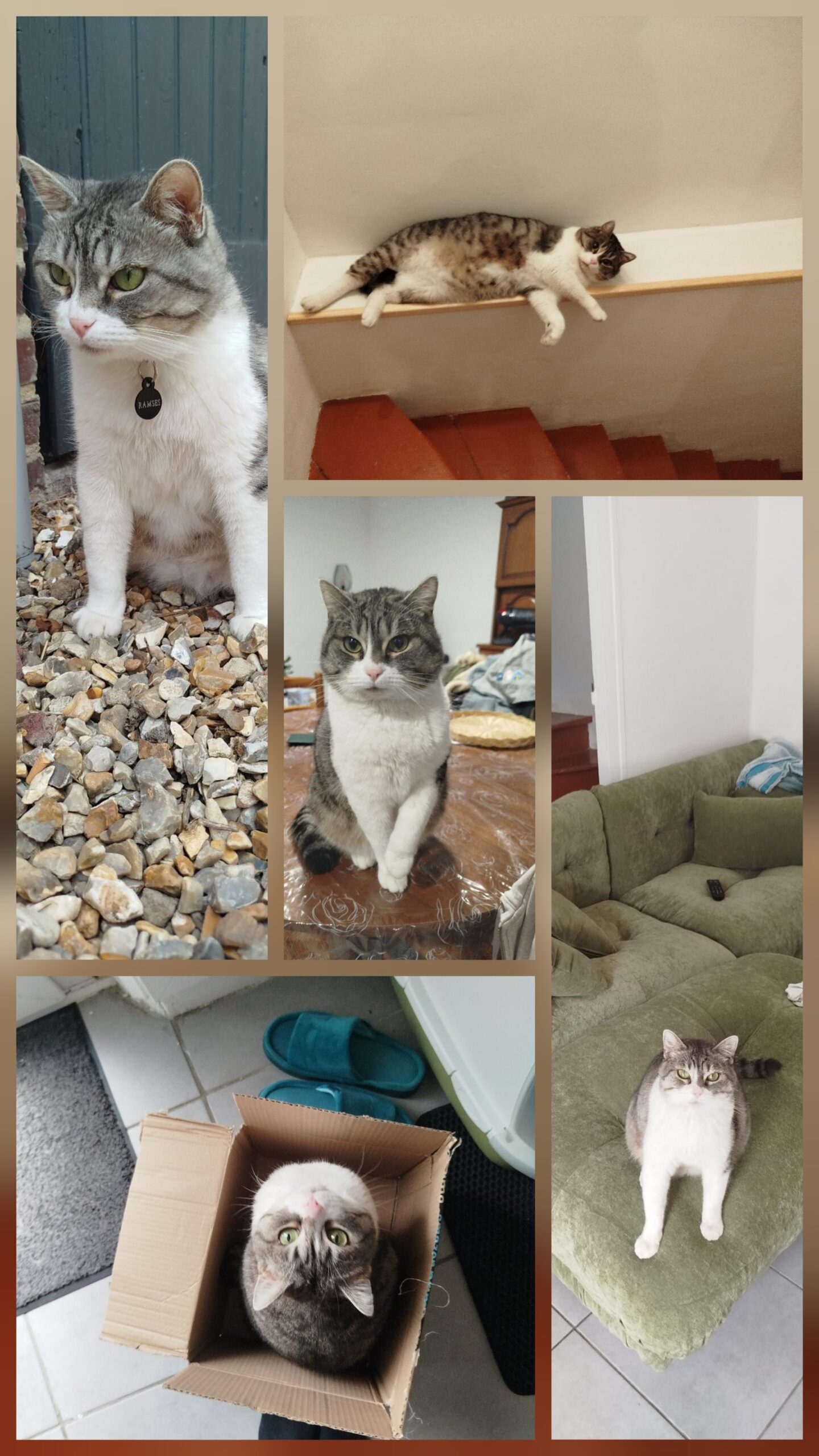 Ramses